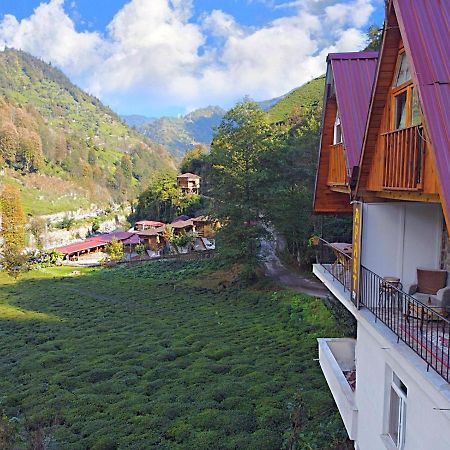 Naturel Apart Bungalow Vila Çamlıhemşin Exterior foto